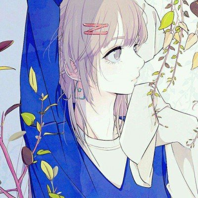 广州越秀公园惊现猫蛇大战